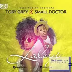Toby Grey - Laleyi Remix ft Small Doctor